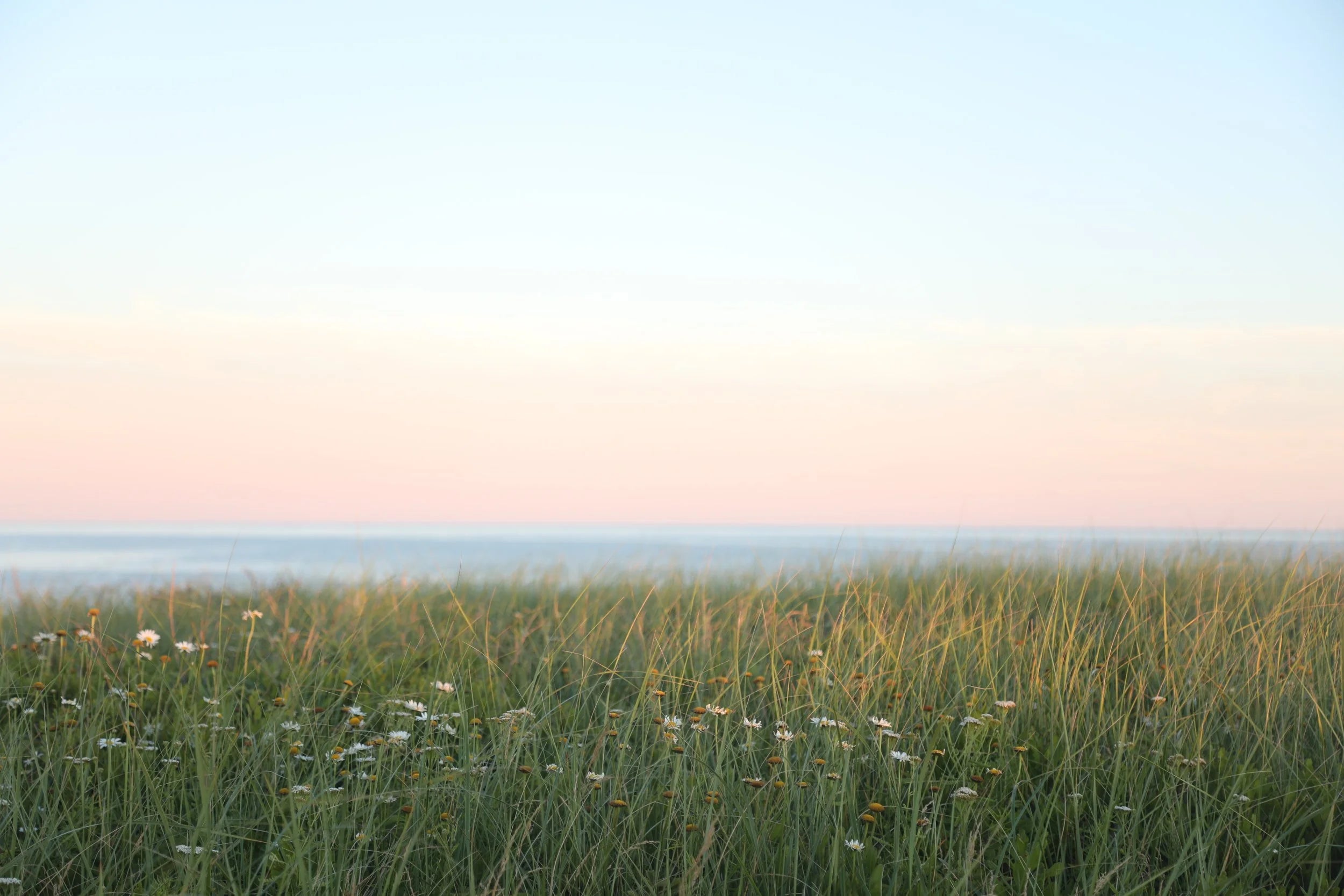 "Free Love Shelfie" Shelfie framed coastal print by Lauren Marttila