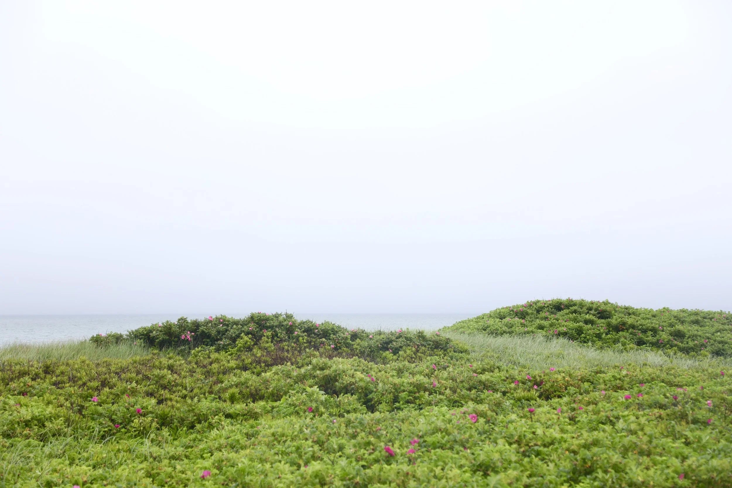 After the Rain No.2 (Horizontal), Nantucket fine art photography by Lauren Marttila