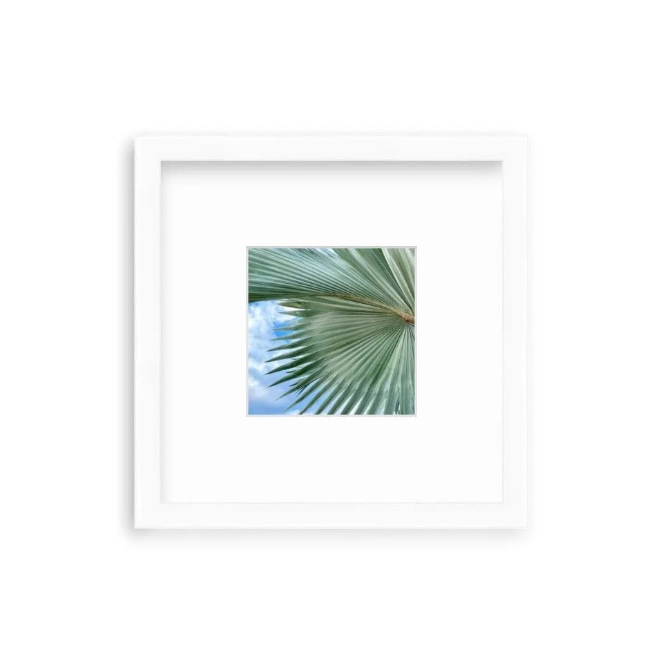 "Palms And Fronds Shelfie" Shelfie framed coastal print by Lauren Marttila