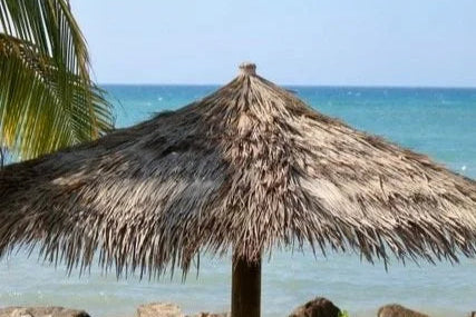 Wanderlust Shelfie®