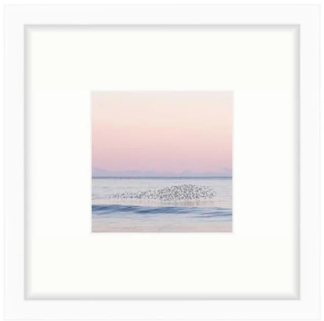 "Flock Shelfie" Shelfie framed coastal print by Lauren Marttila