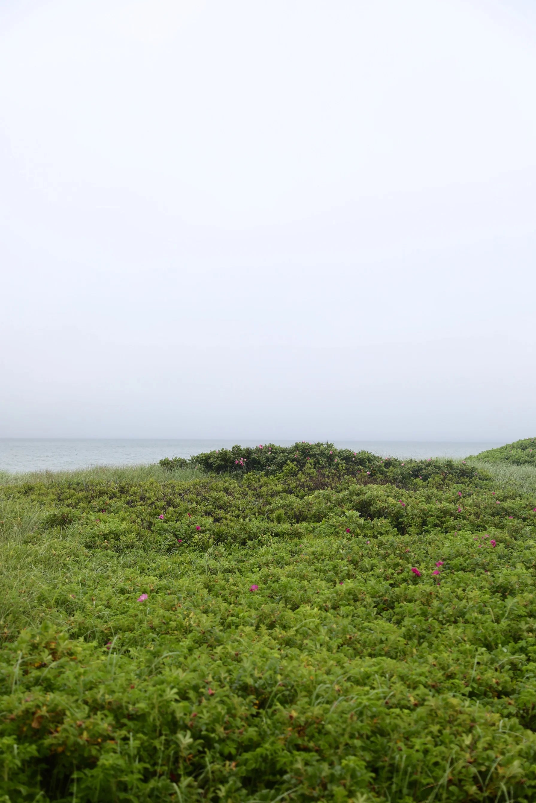 After the Rain No.2 (Vertical)