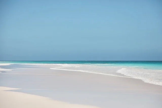 "Pink Sands Shelfie" Shelfie framed coastal print by Lauren Marttila