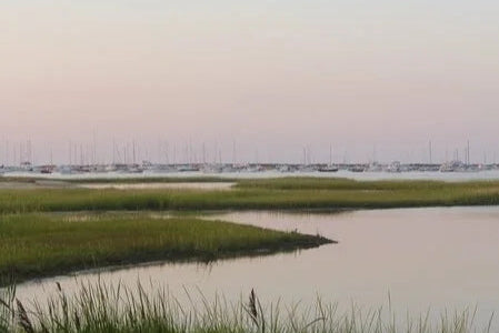 "Coastal Living Shelfie" Shelfie framed coastal print by Lauren Marttila