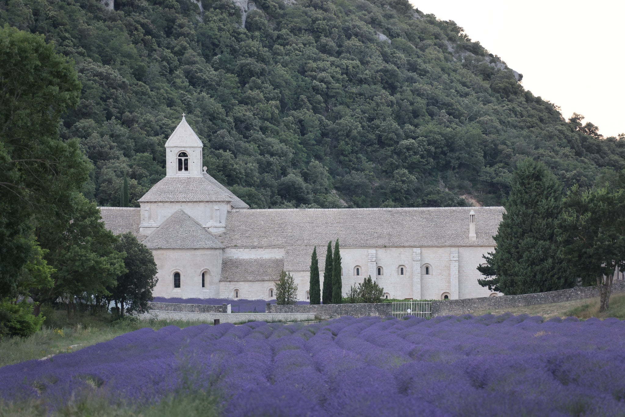 provence
