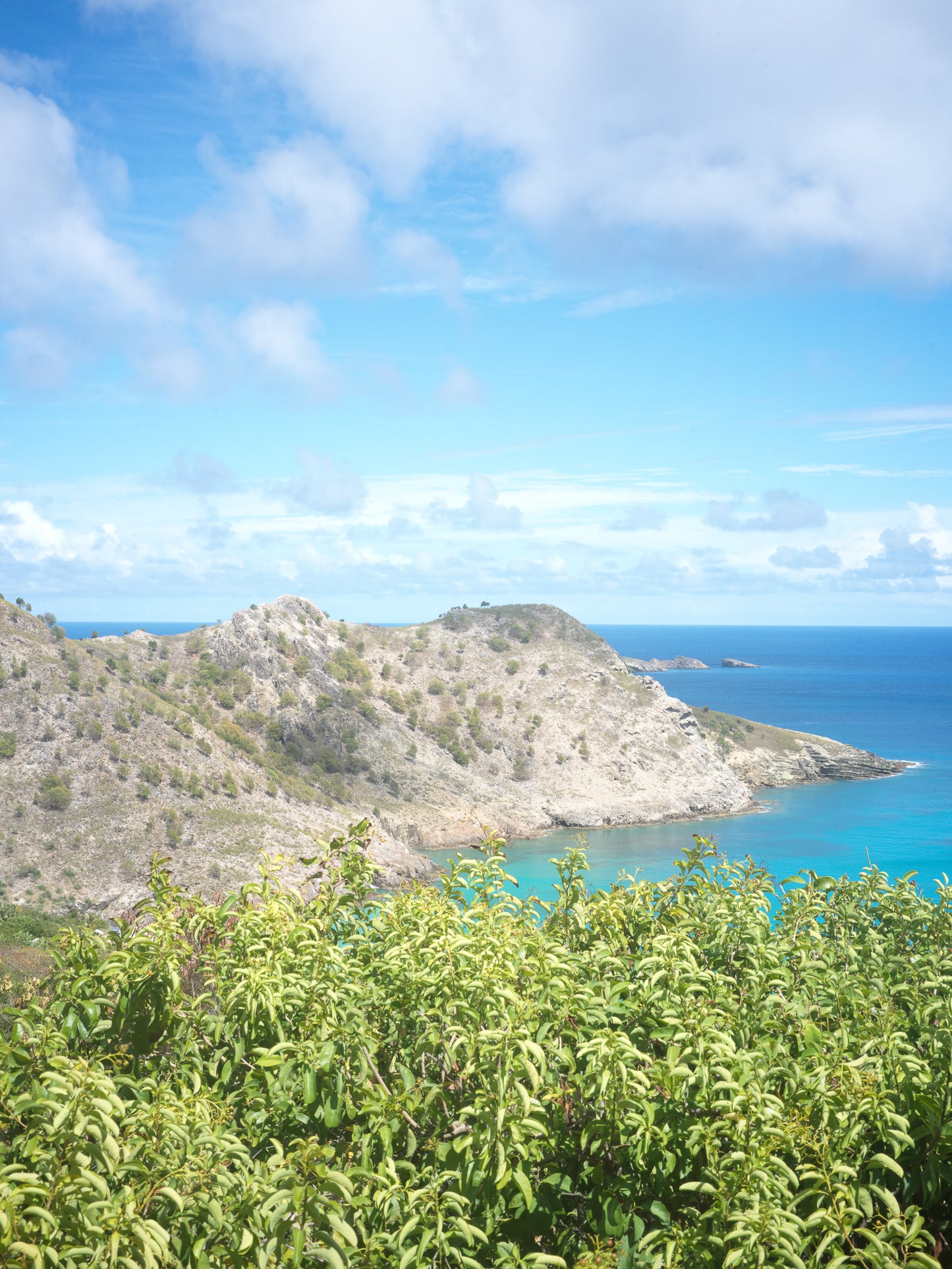 Wall Art Viewer Frames Render