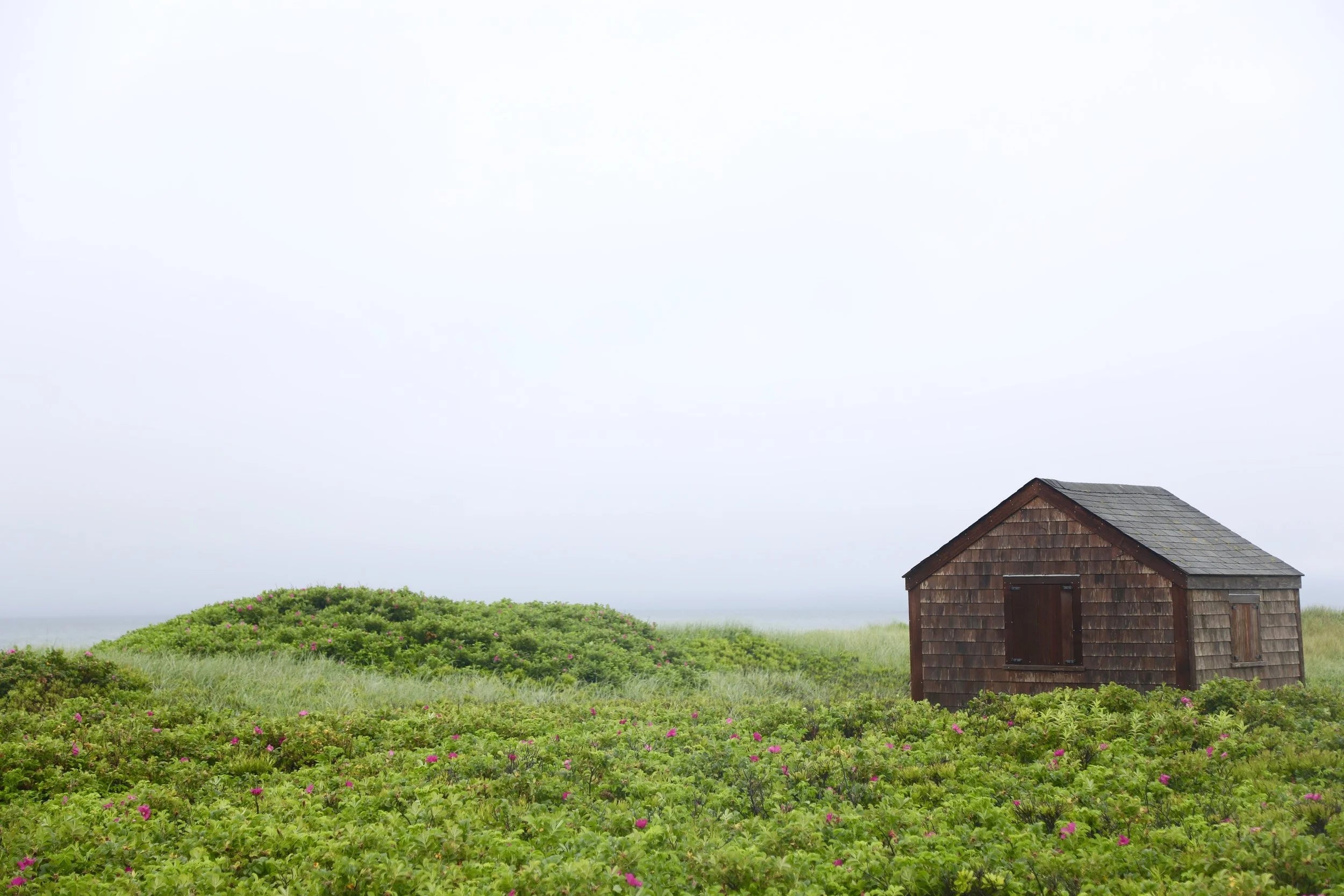 After the Rain (Horizontal), Nantucket fine art photography by Lauren Marttila