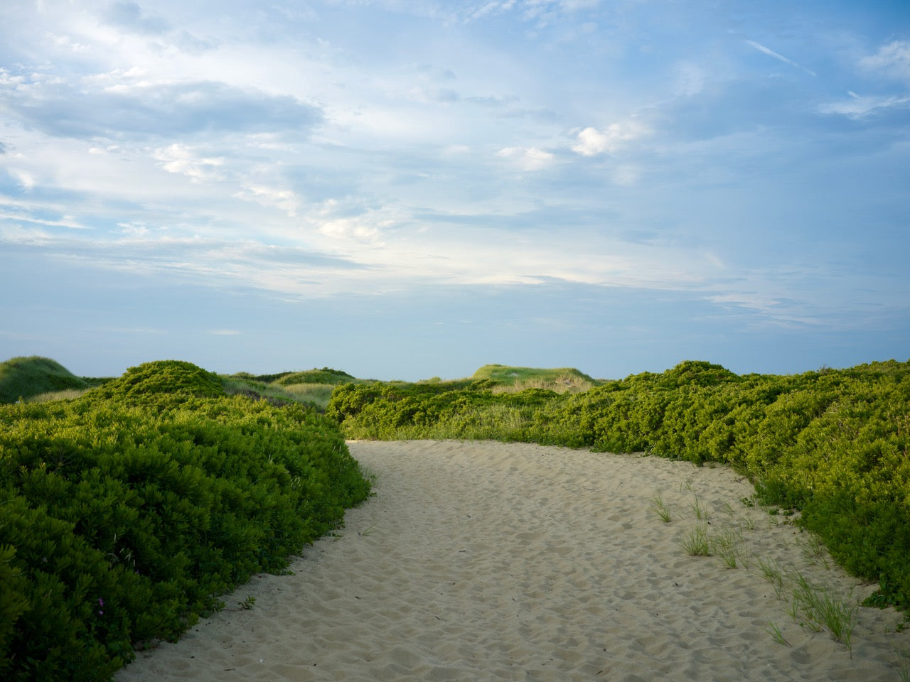 Wall Art Viewer Frames Render