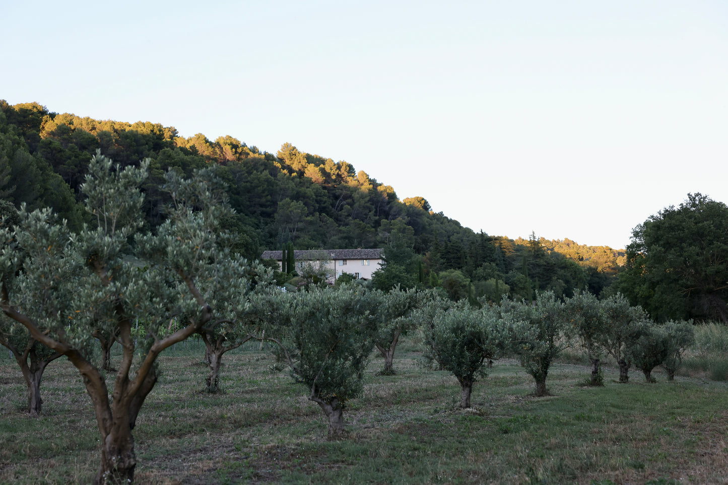 Wall Art Viewer Frames Render