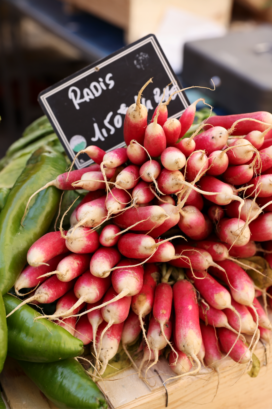 Bunch of radishes with a sign indicating the type of vegetable on a market stall.
