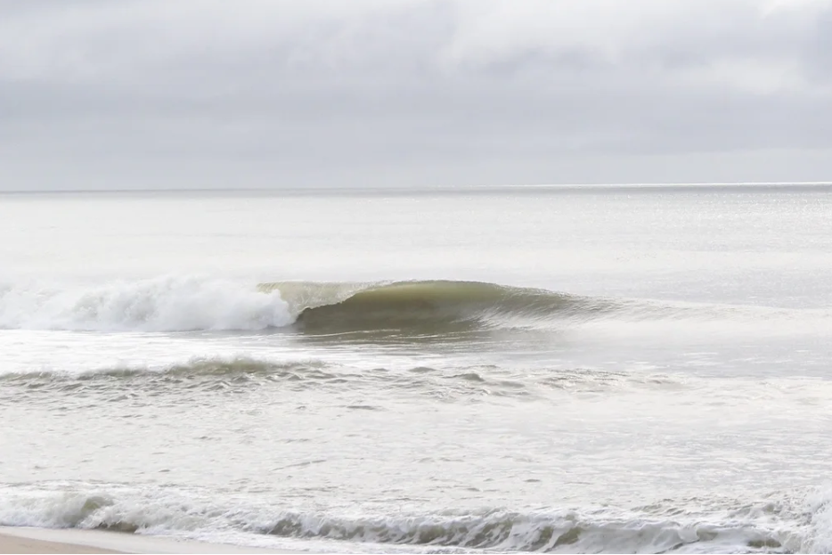 Tranquility's Better Half No. 2