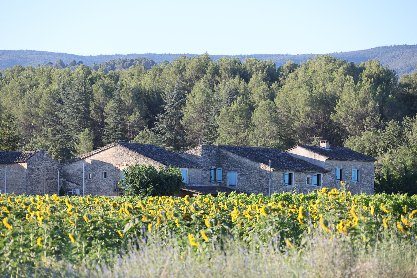 Wall Art Viewer Frames Render