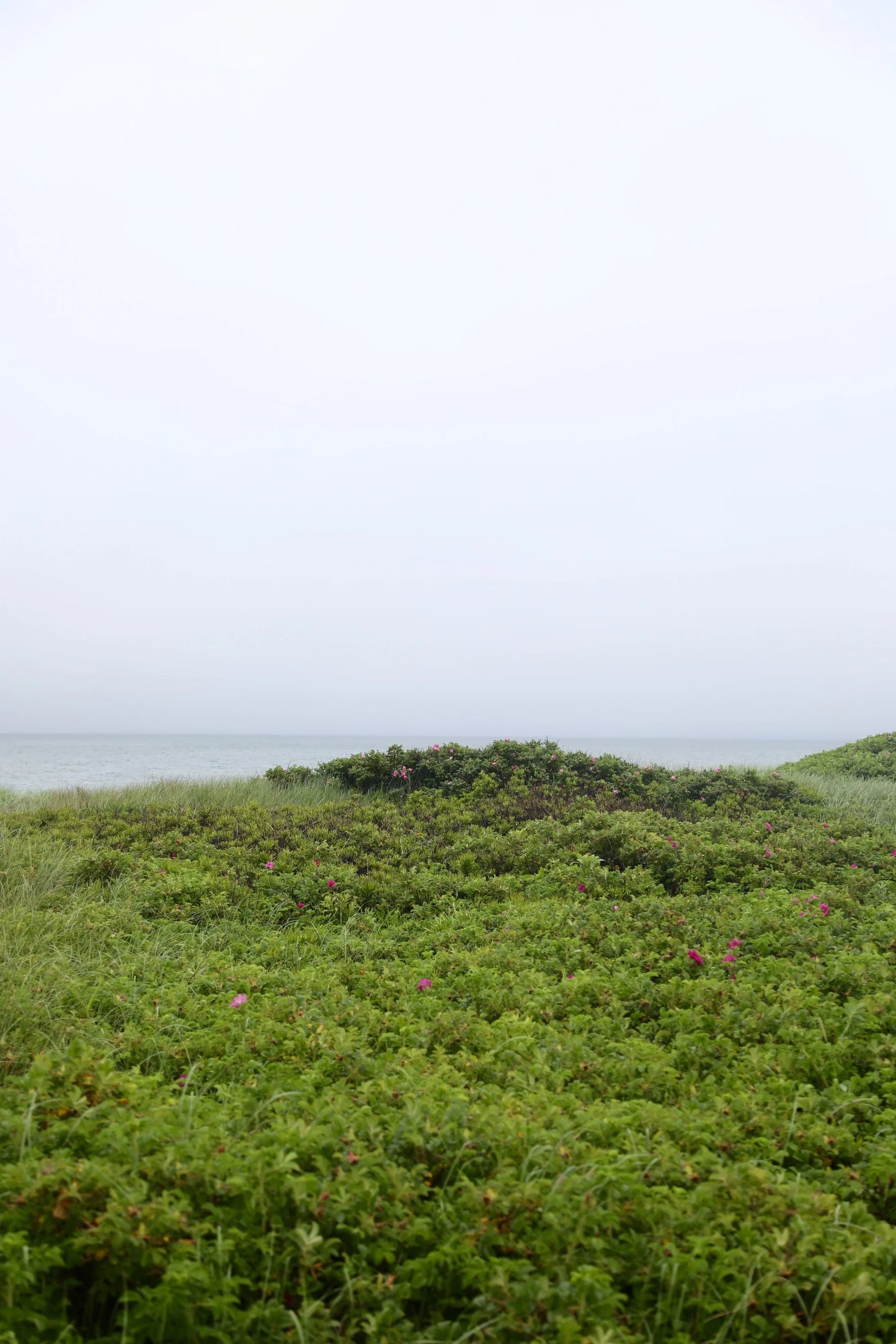 Wall Art Viewer Frames Render