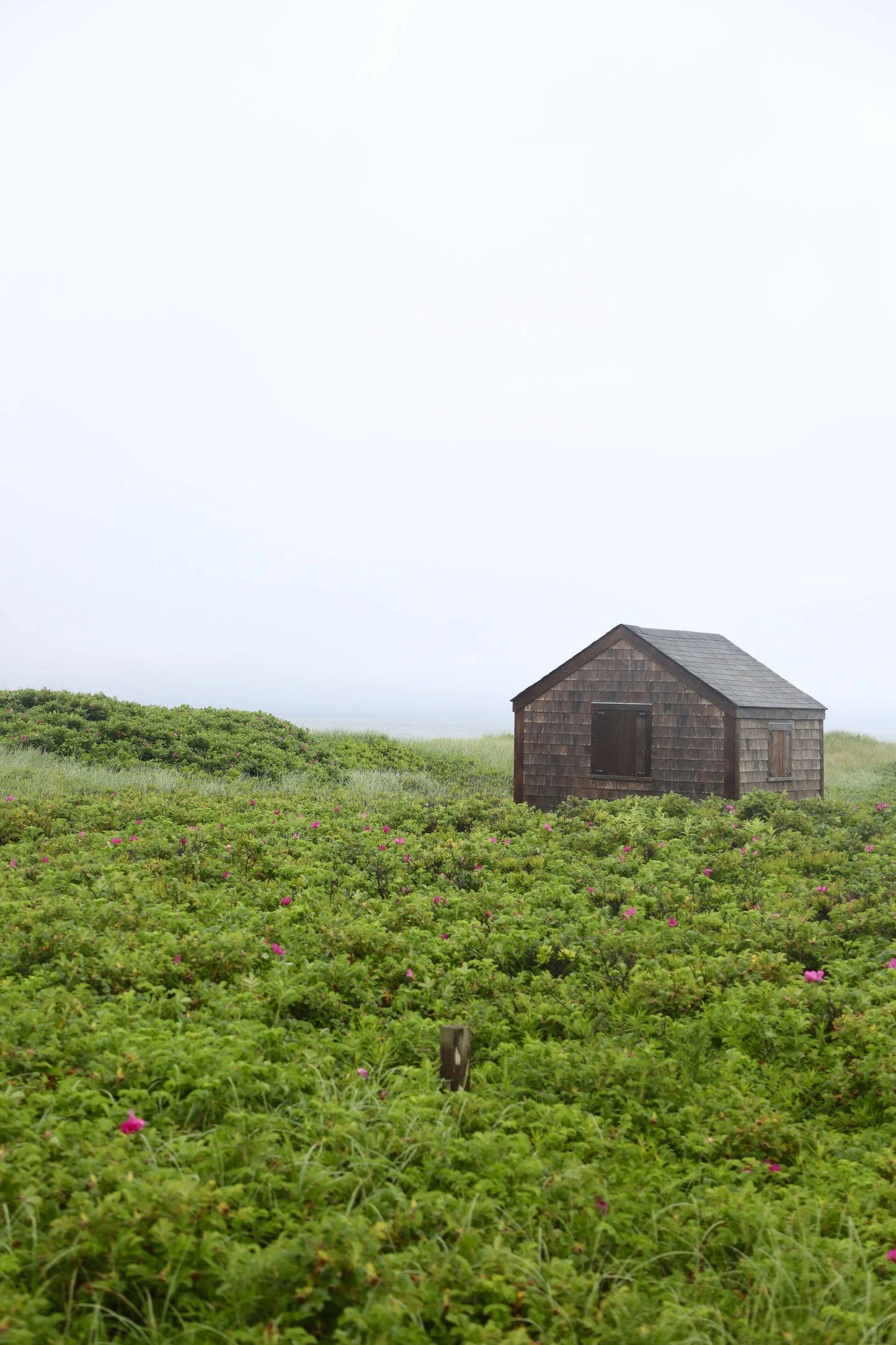 Wall Art Viewer Frames Render