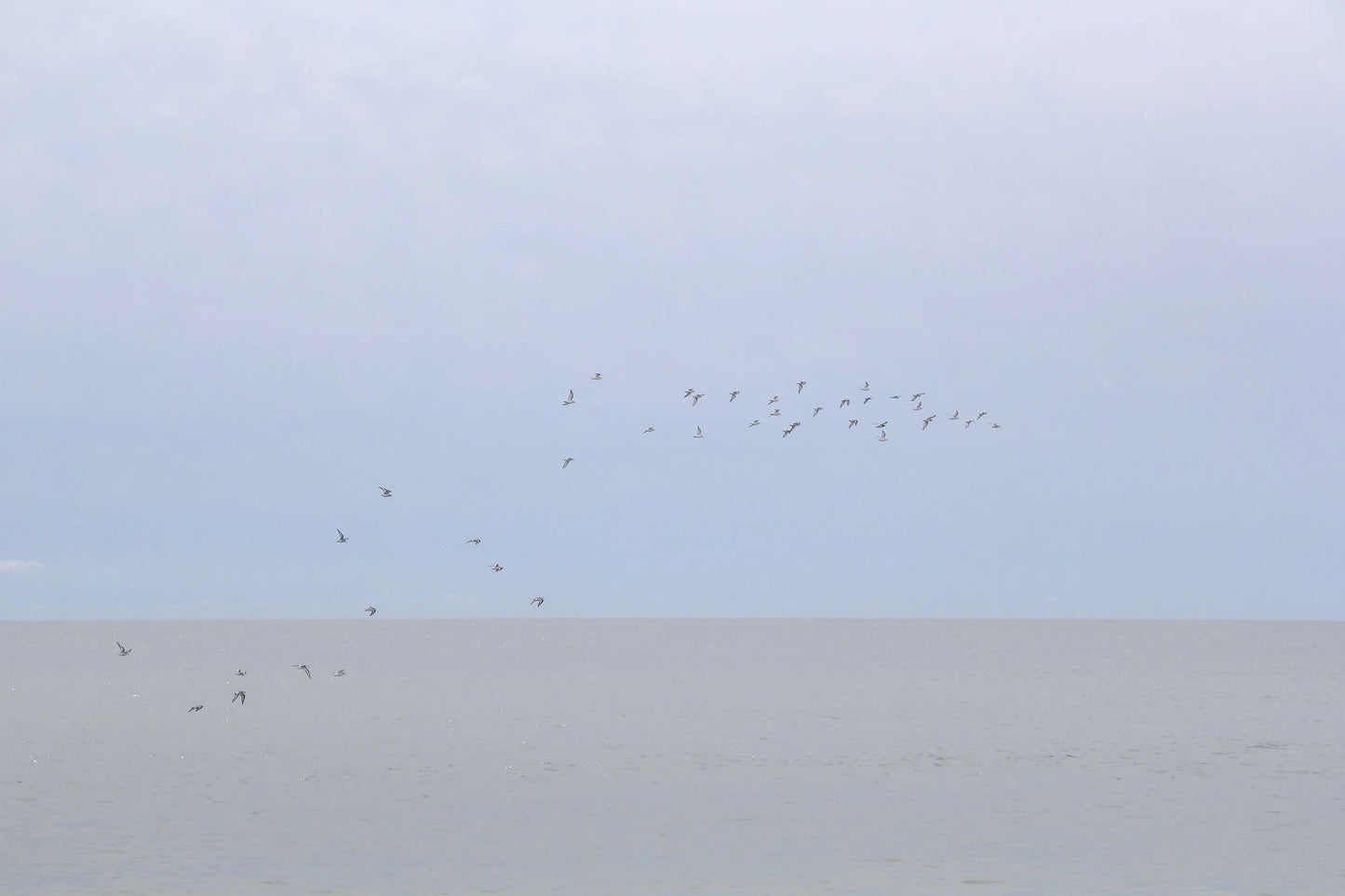 Wall Art Viewer Frames Render