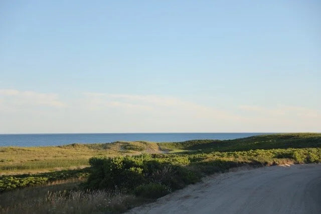 Wall Art Viewer Frames Render