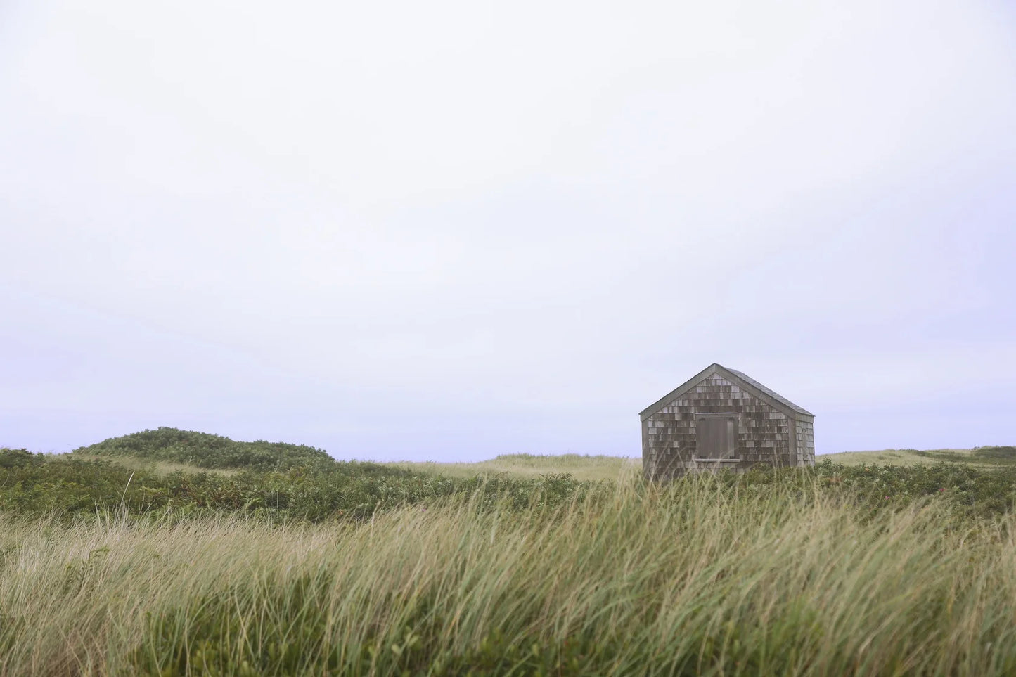 Wall Art Viewer Frames Render