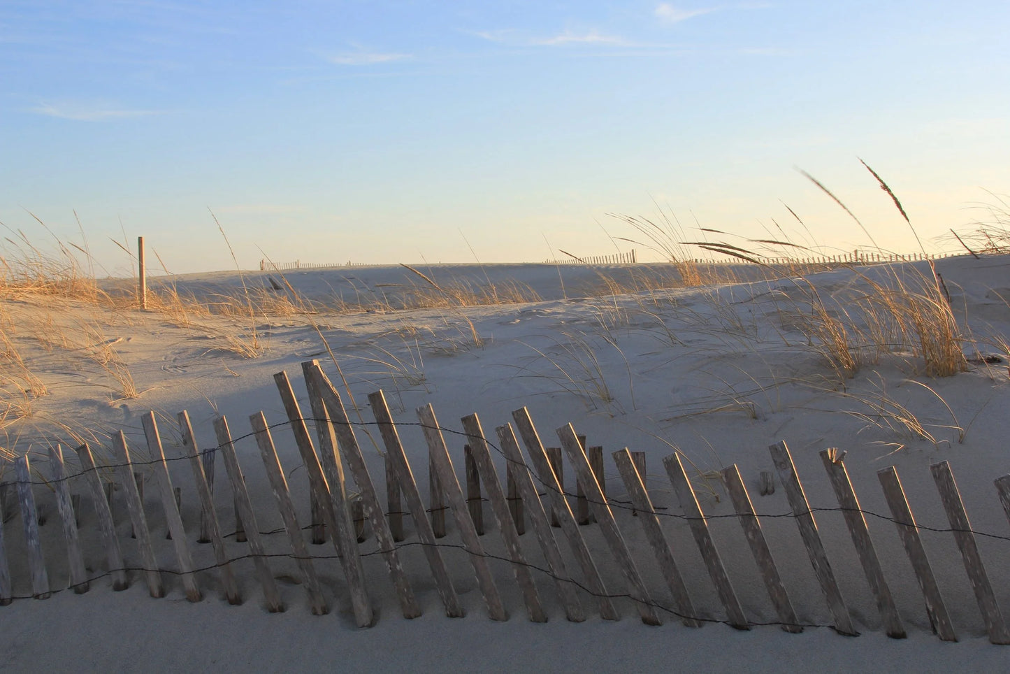 Wall Art Viewer Frames Render